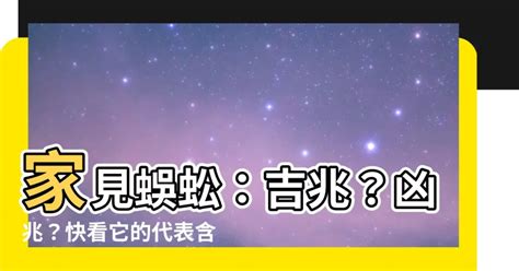 房間有蜈蚣代表什麼|家中見蜈蚣的5大含義